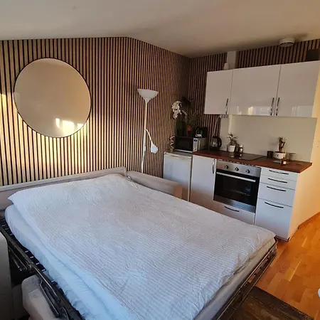 Lejlighed Quiet Top-Floor Studio In Central Oslo Oslo