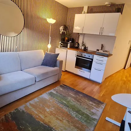Quiet Top-Floor Studio In Central Oslo * Oslo