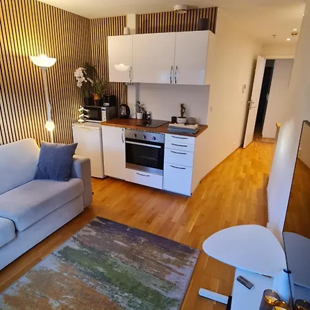 Quiet Top-Floor Studio In Central Oslo Lejlighed *