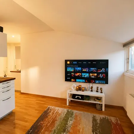 Quiet Top-Floor Studio In Central Oslo Oslo