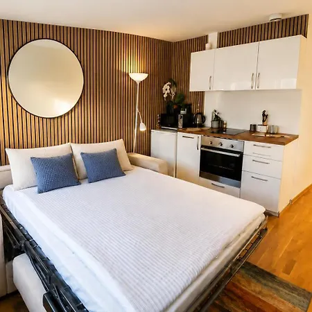 Quiet Top-Floor Studio In Central Oslo